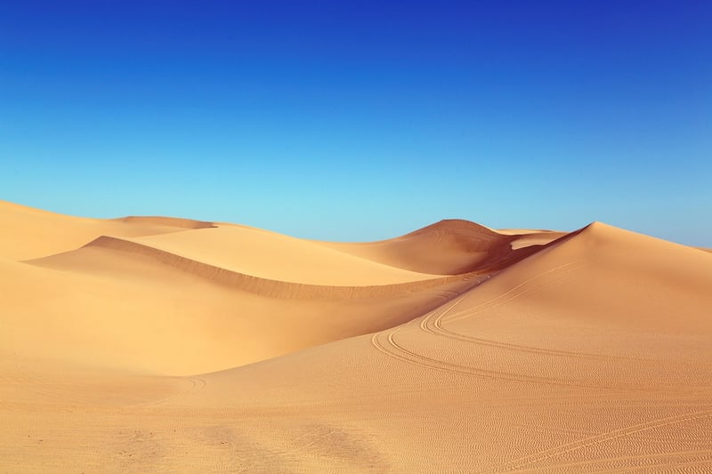 Desert Trek Image